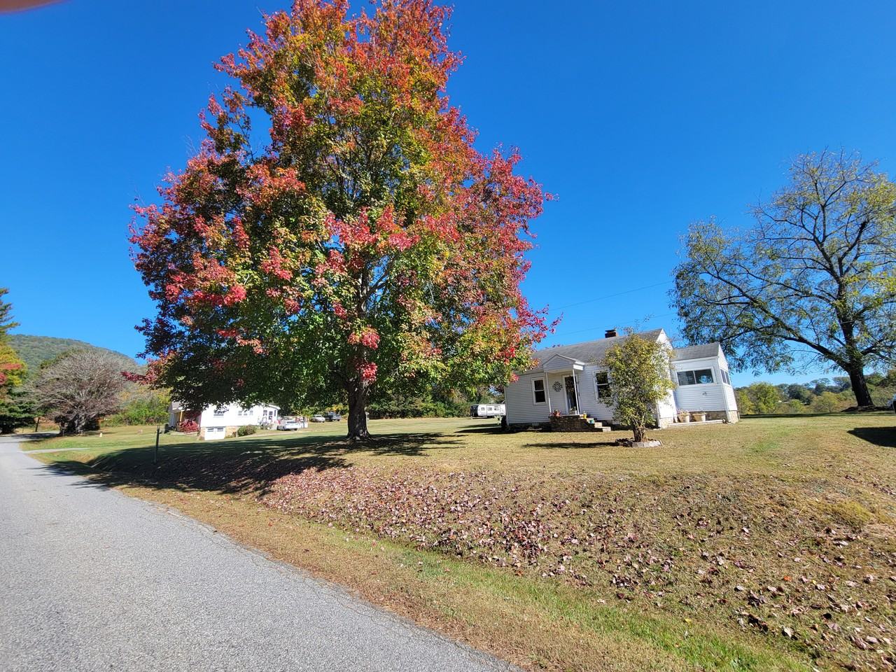 264 Peters Cove Rd #NA - Photo 3 of 13