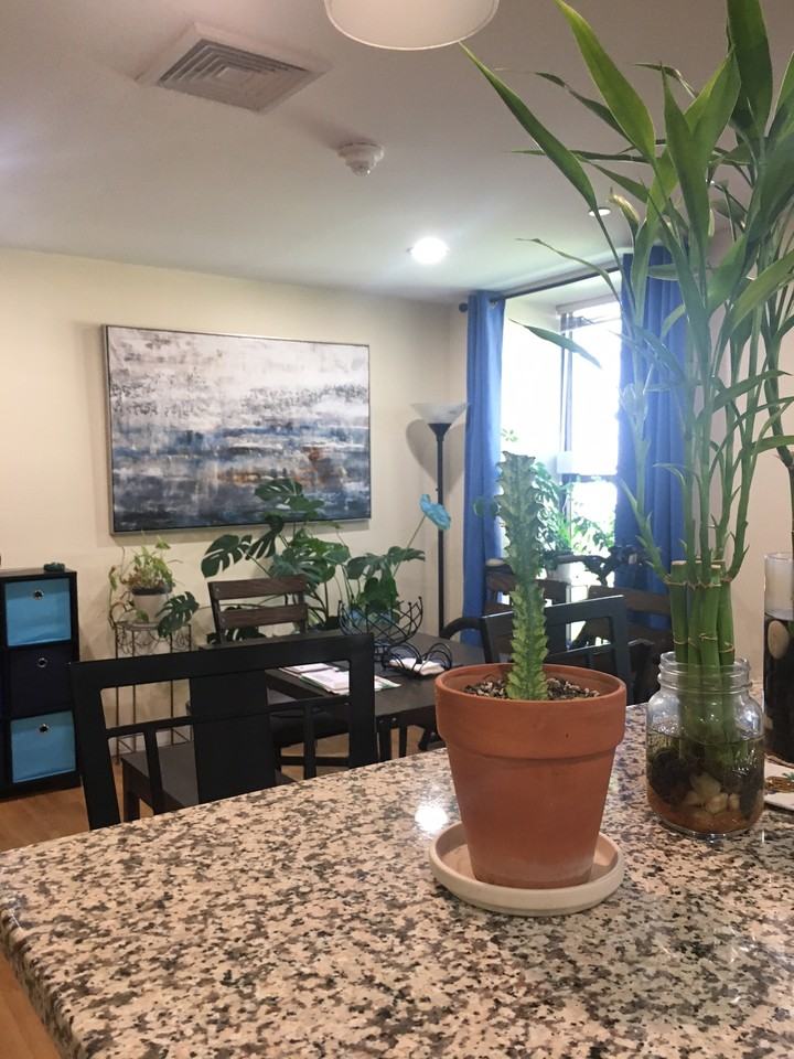 900 James AveUnit 1206 #1206 - Photo 7 of 38