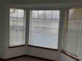 featured image of 1038 Pine St #42