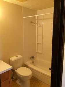 9607 103 Ave #304 - Photo 4 of 5