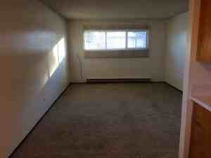 9607 103 Ave #304 - Photo 5 of 5