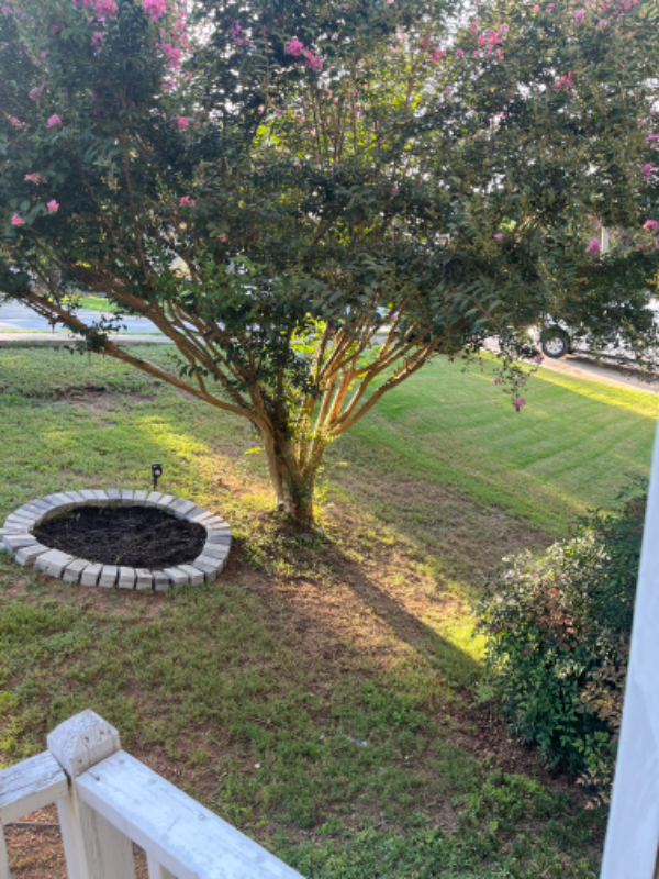 530 Cherokee Overlook Ct - Photo 2 of 11