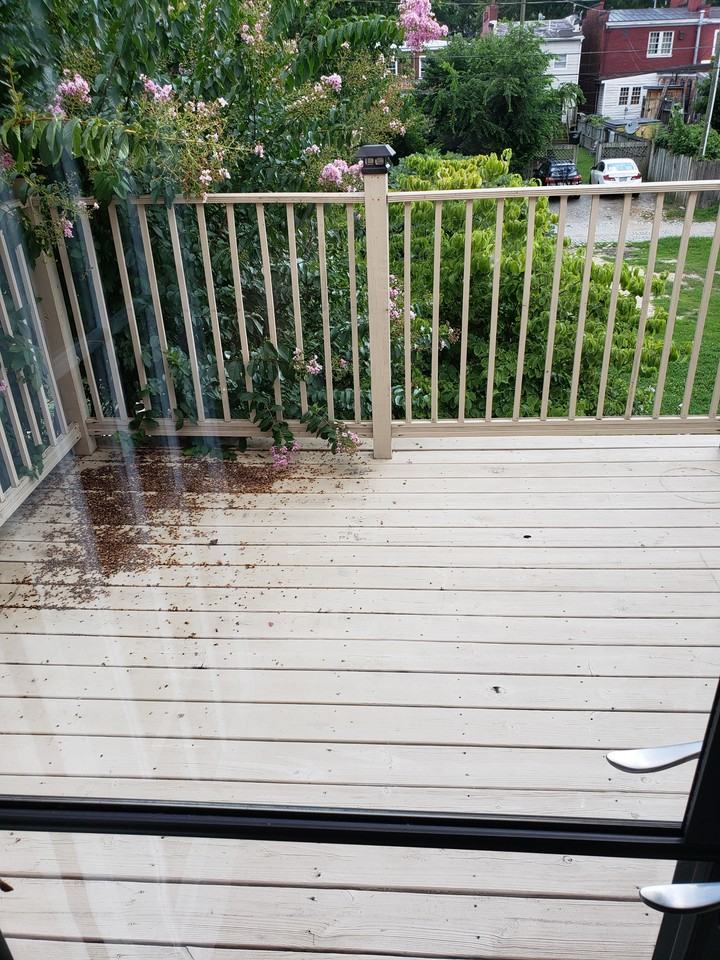 303 W Clay St - Photo 2 of 24