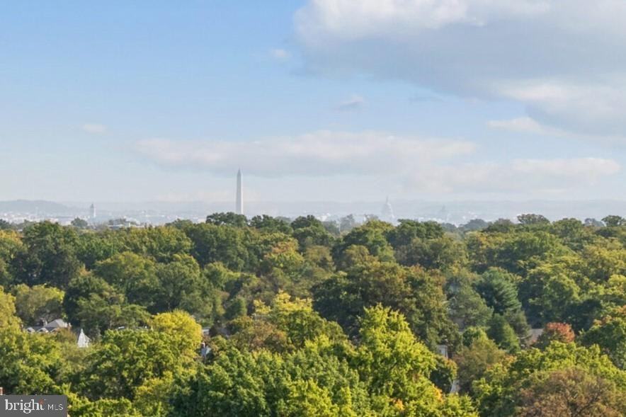 Apartments for Rent In Buckingham, Arlington, VA Find Condos & Other