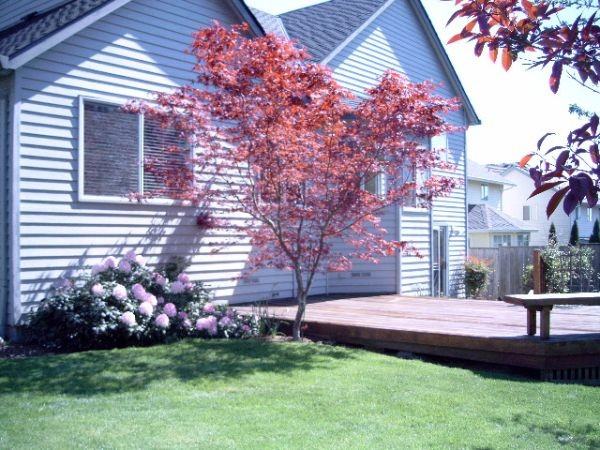 13120 Princeton Ct #NA - Photo 3 of 15