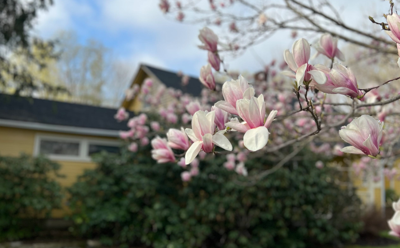 204 Main Rd - Photo 2 of 9