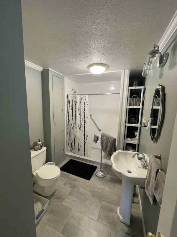 250 E Rosedale Rd - Photo 7 of 17