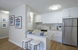 Dog friendly studio apartments best sale near me