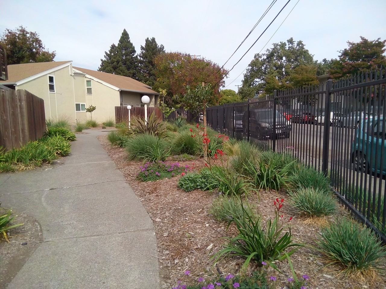 Willow Tree Apartments - Photo 2 of 3