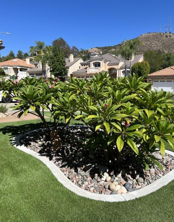 23773 Sonata Dr - Photo 3 of 43