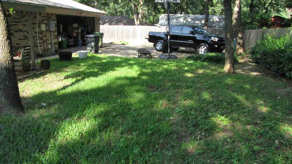 2923 Canyon Dr - Photo 3 of 14