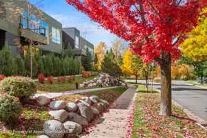 featured image of 100 Evans Rd #102