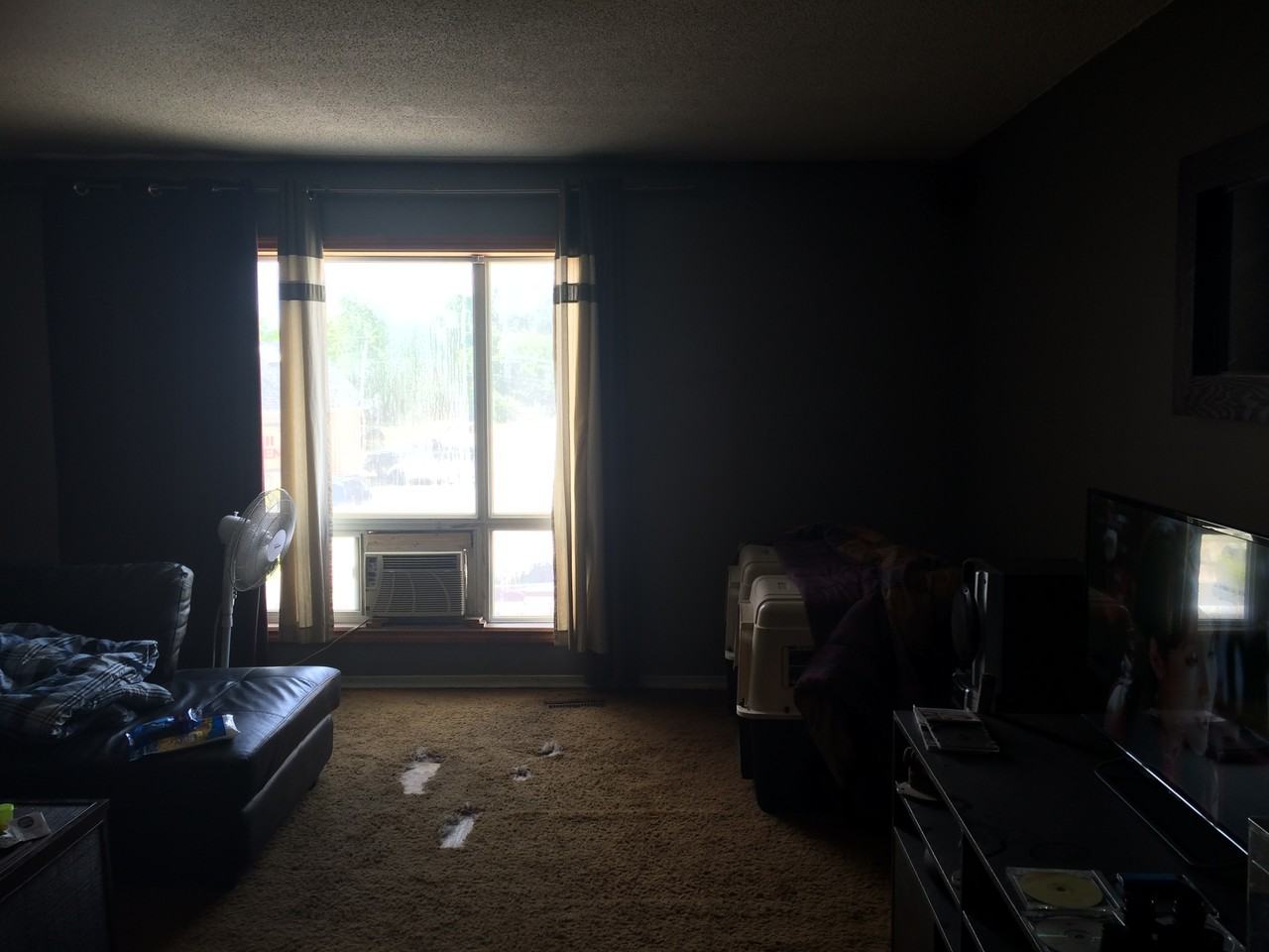 13-17 queen - Photo 3 of 10