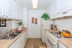 Renaissance Apartment Homes - Photo 1 of 1