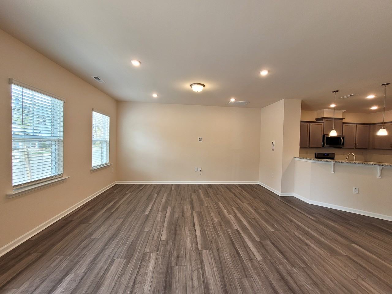 234 Ribbon Rail St - Photo 4 of 50