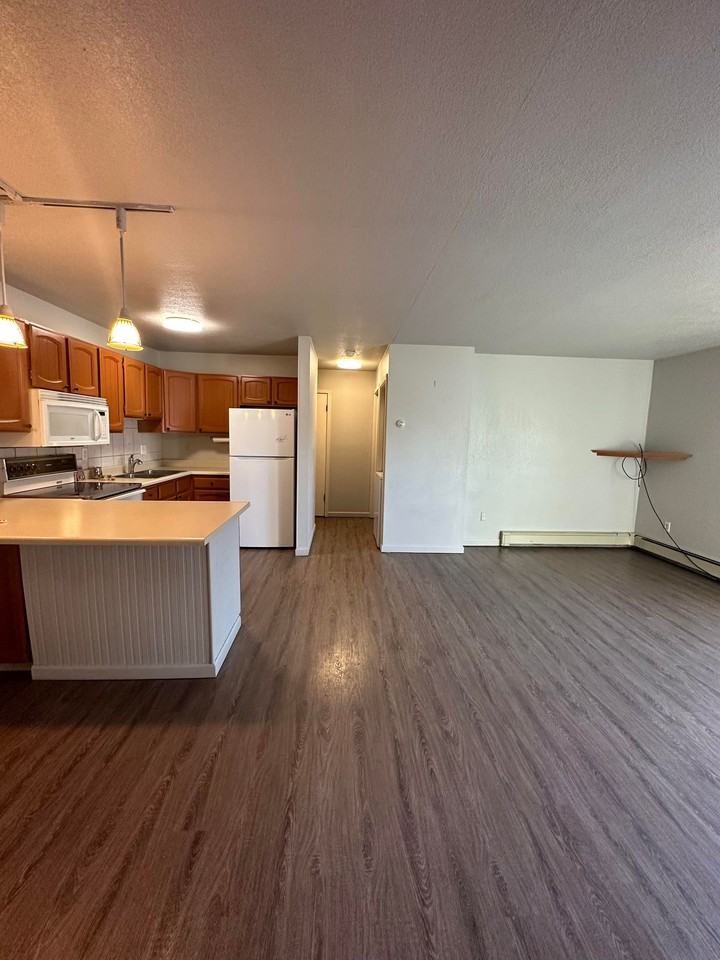 300 Woodridge St #1 - Photo 3 of 8