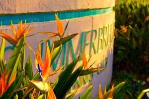 featured image of 29489 Via Las Colinas