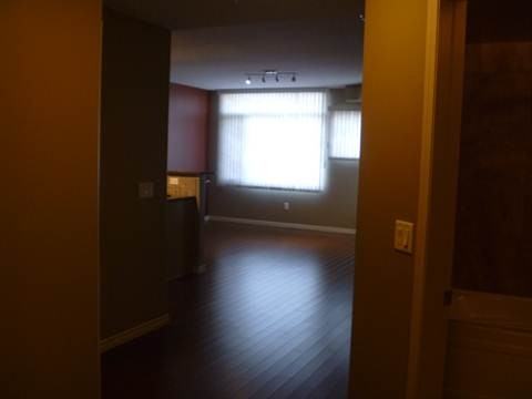 405, 141 Festival Way - Photo 3 of 9