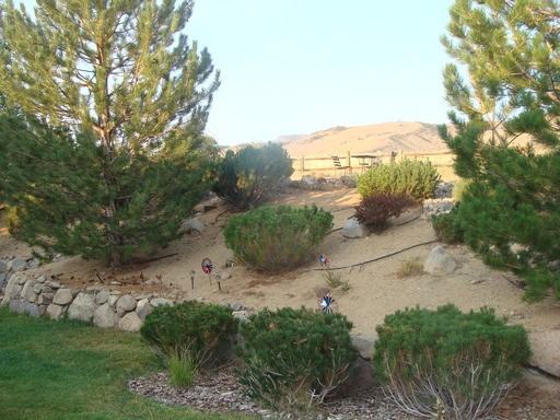 613 Rabbit Ridge Ct - Photo 3 of 10