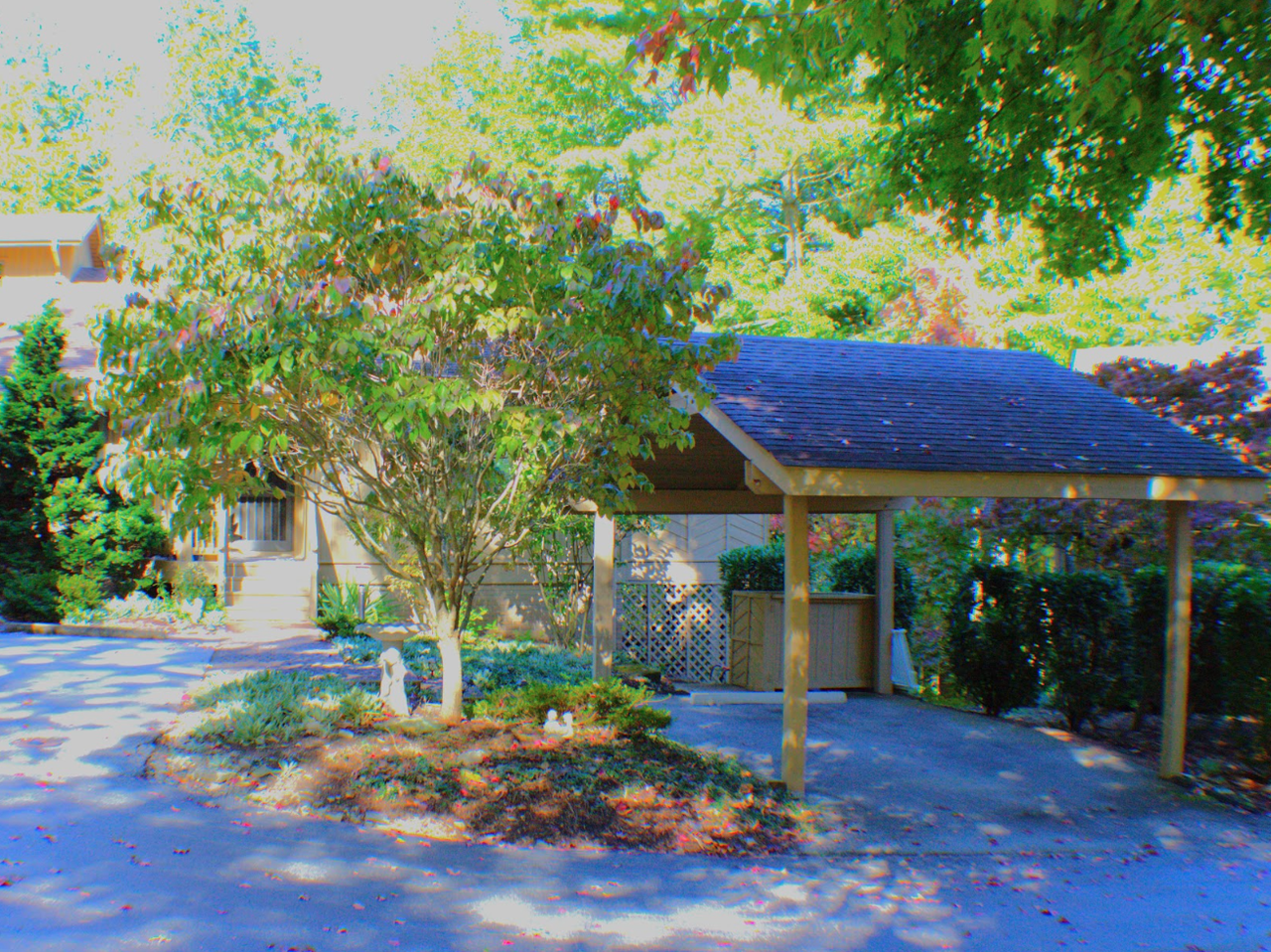 201 Chinquapin Oak Ln - Photo 2 of 22
