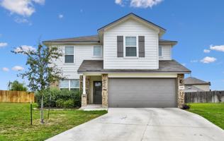 featured image of 13302 Silky Rye