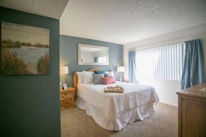 featured image of 29500 Mira Loma Dr