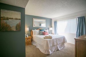 featured image of 29500 Mira Loma Dr