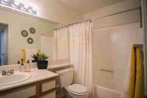 featured image of 29500 Mira Loma Dr