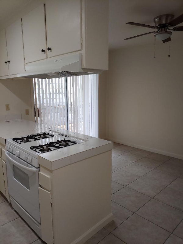 493 E Vista Chino - Photo 7 of 24