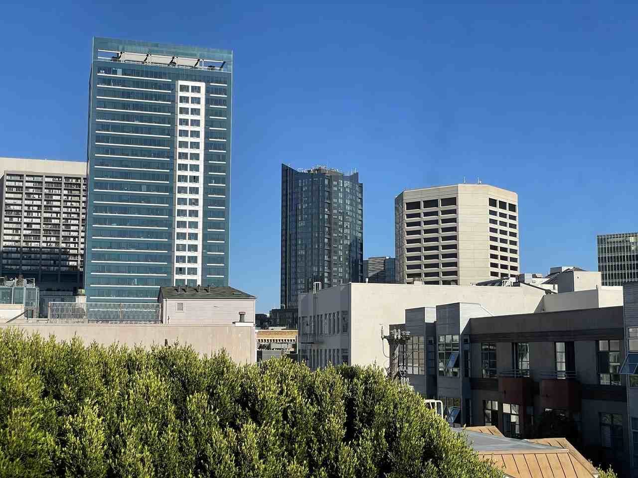 300 Linden Street #8 - Photo 5 of 17