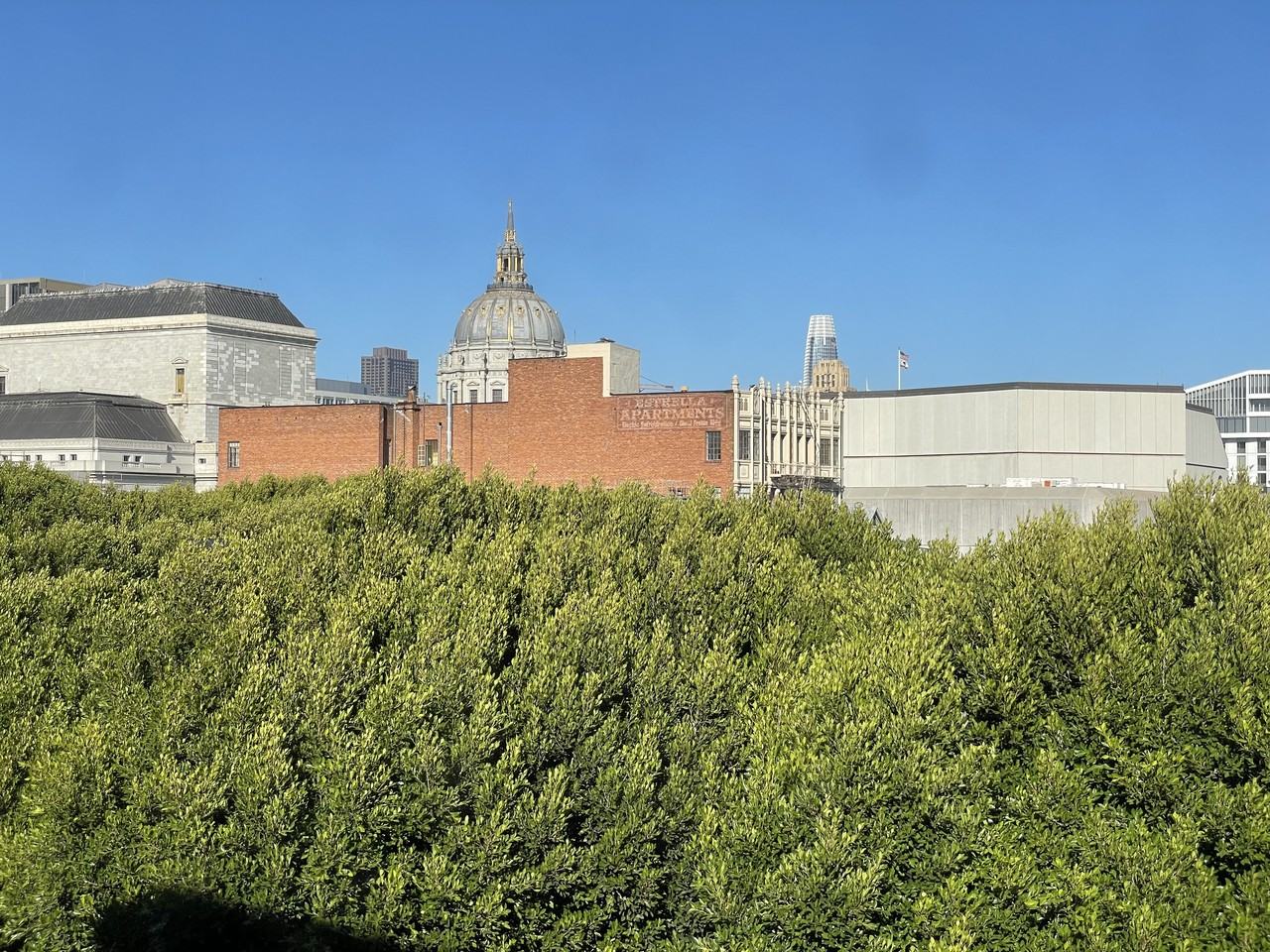 300 Linden Street #8 - Photo 3 of 17