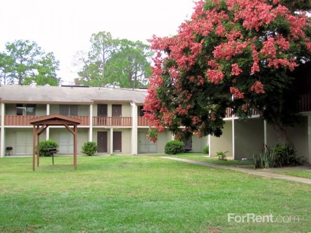 La Esperanza - Photo 3 of 19