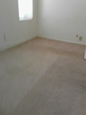 1018 Marion St - Photo 3 of 11