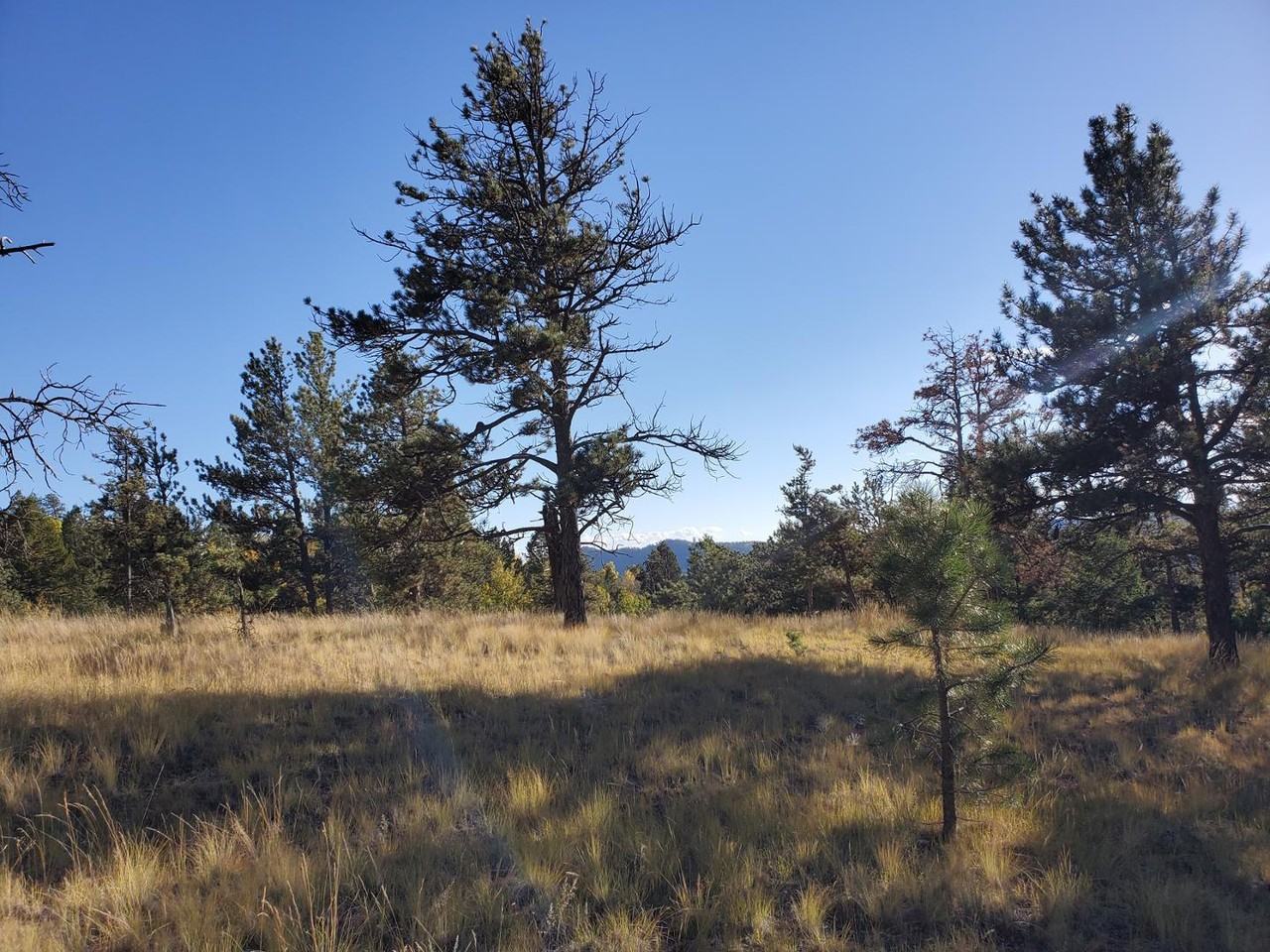 234 Wasatch Ln - Photo 2 of 11