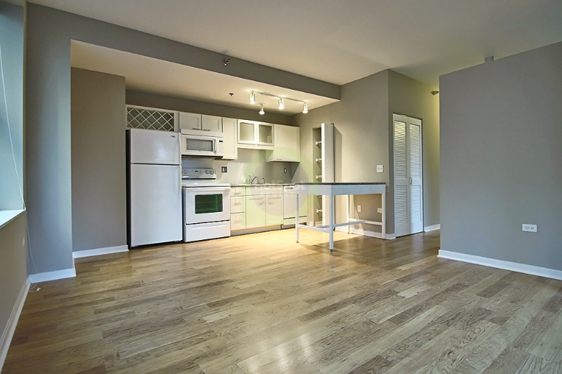 172 W Randolph St #1806 - Photo 2 of 10