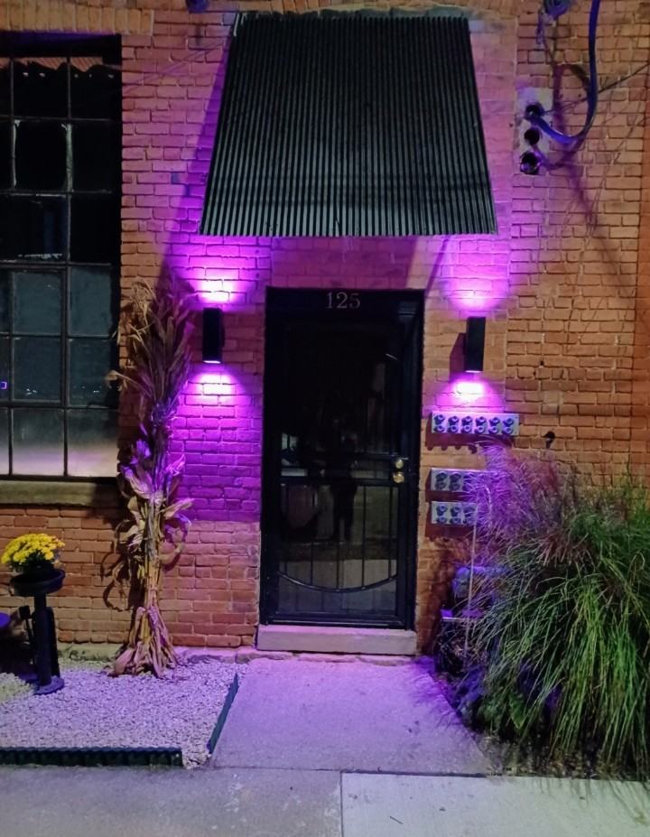 Iron St 125, Detroit, MI 48207 1 Bedroom Apartment for 2,000/month