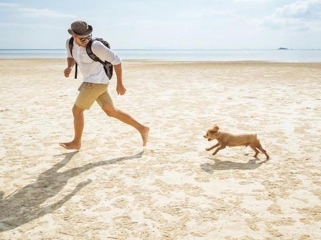 3950 Leland St - Photo 6 of 16