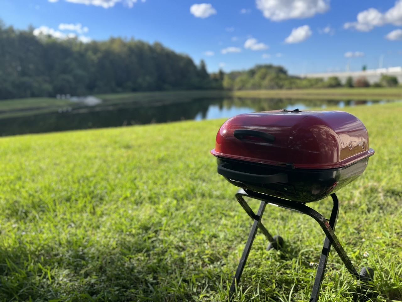 849 Flower Fields Lane - Photo 2 of 17