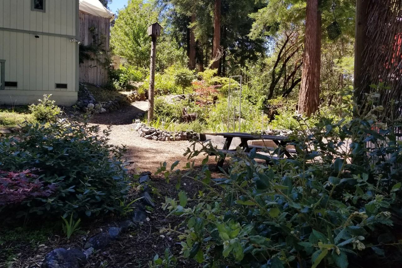 1646 Ponderosa Rd - Photo 3 of 7