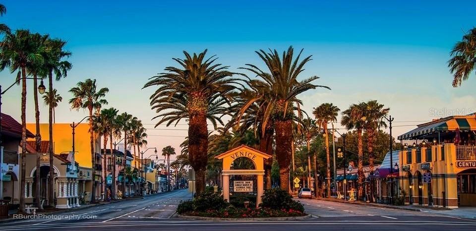 425 Cerromar Ter #359 - Photo 4 of 50