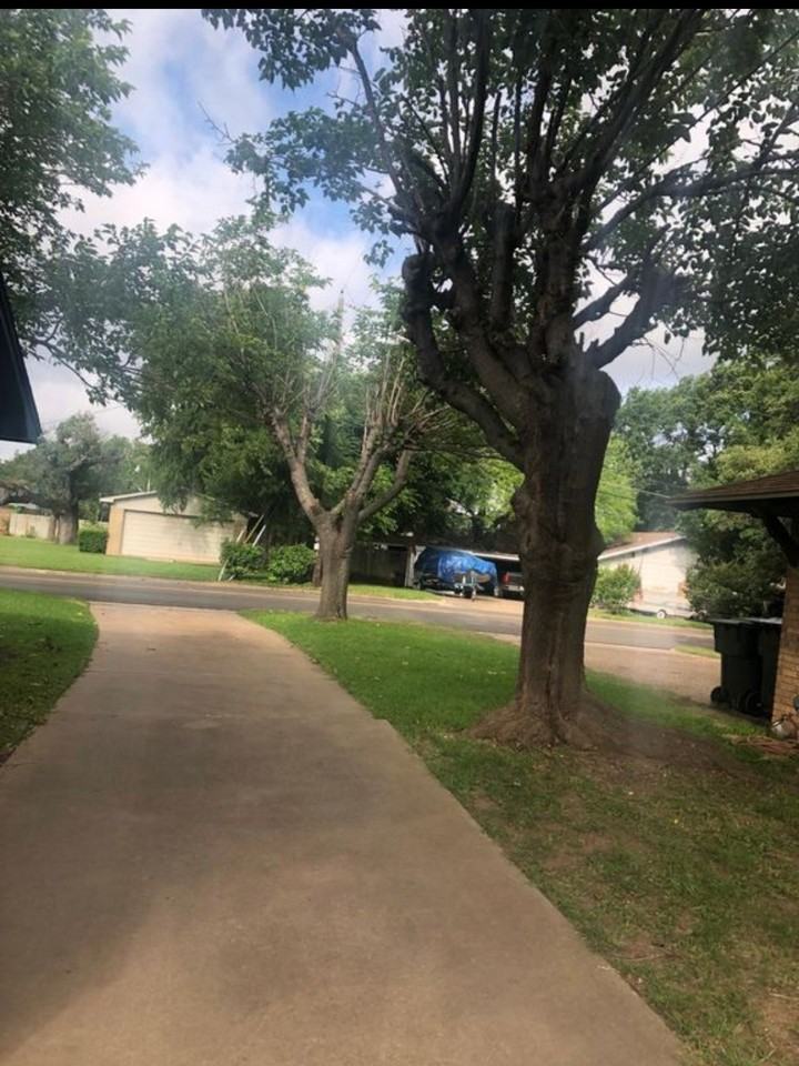 917 Rambler Drive - Photo 4 of 12