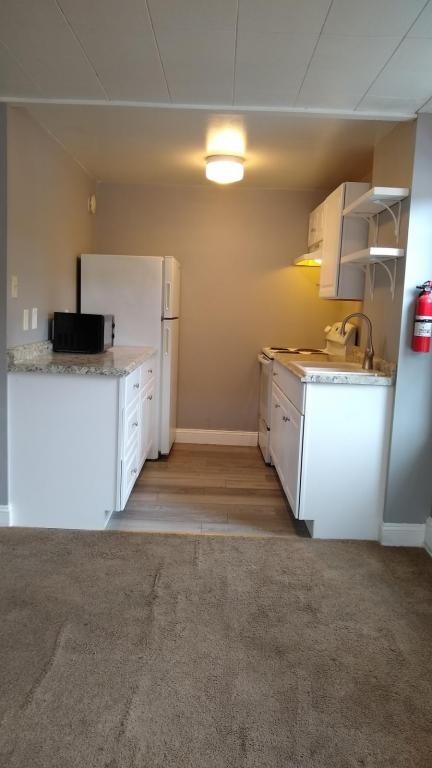 331 E Chestnut St Apt 2 - Photo 4 of 14