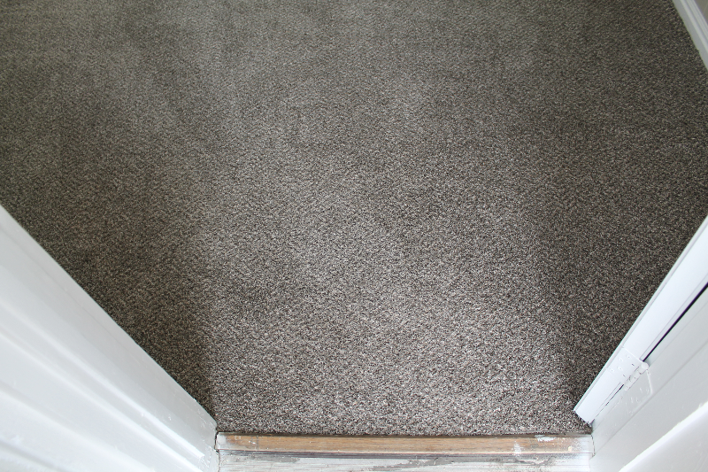 3185 Lincoln Ave #2 - Photo 3 of 15