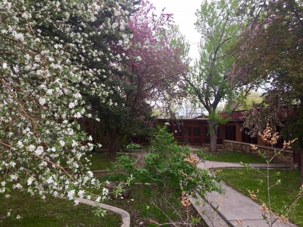 620 Washakie St - Photo 2 of 8