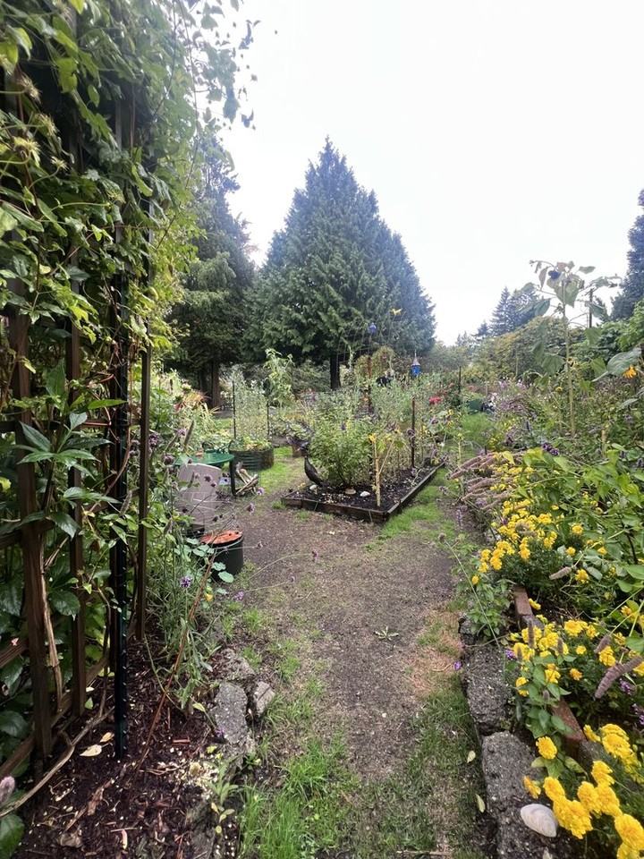 330 Rainier Blvd N #213 - Photo 3 of 20