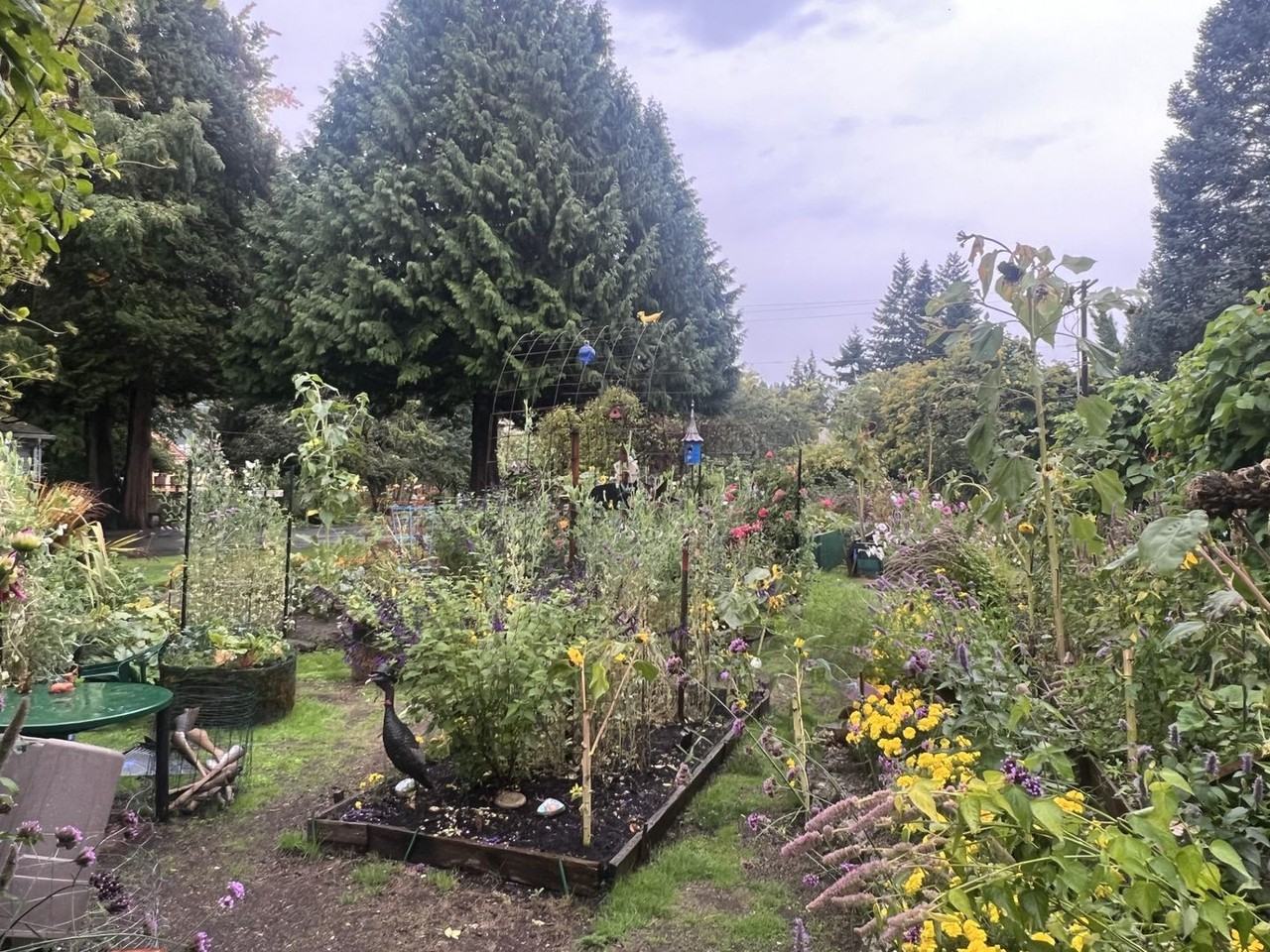 330 Rainier Blvd N #213 - Photo 2 of 20