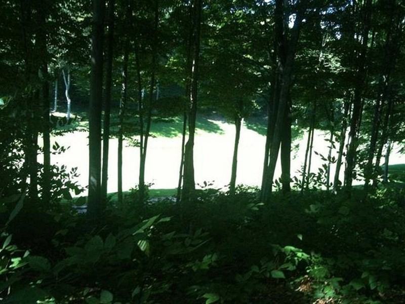 3179 Greenbriar - Photo 3 of 24