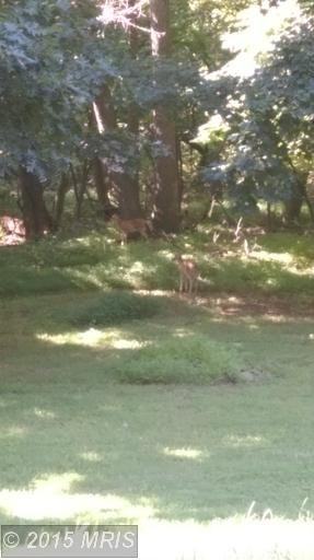 58 Ulysses Ct - Photo 3 of 8