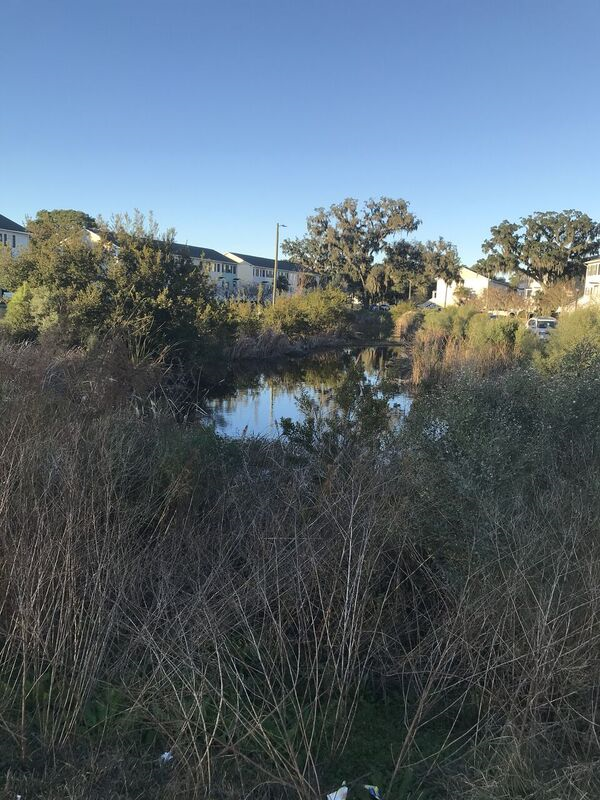 327 Laurel Oak Ln - Photo 3 of 8