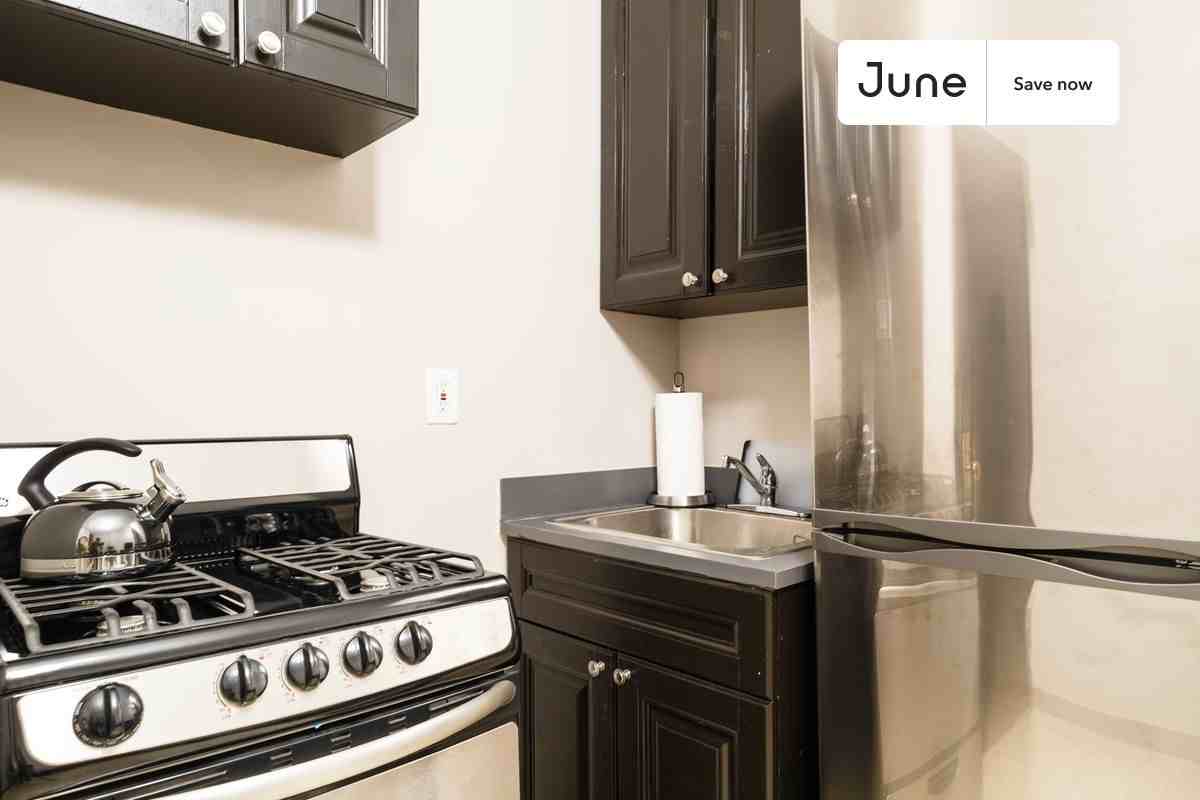 443 W 48th St #1E - Photo 6 of 17